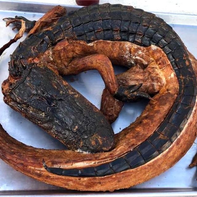 Alligator Smoked