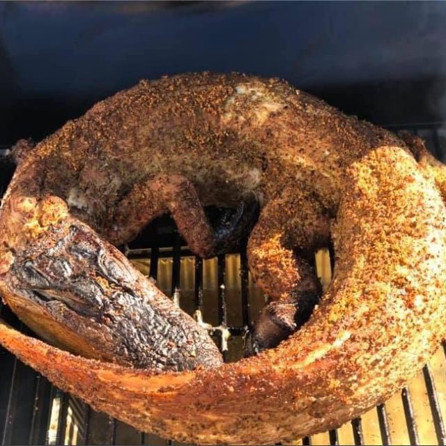 Alligator Smoking