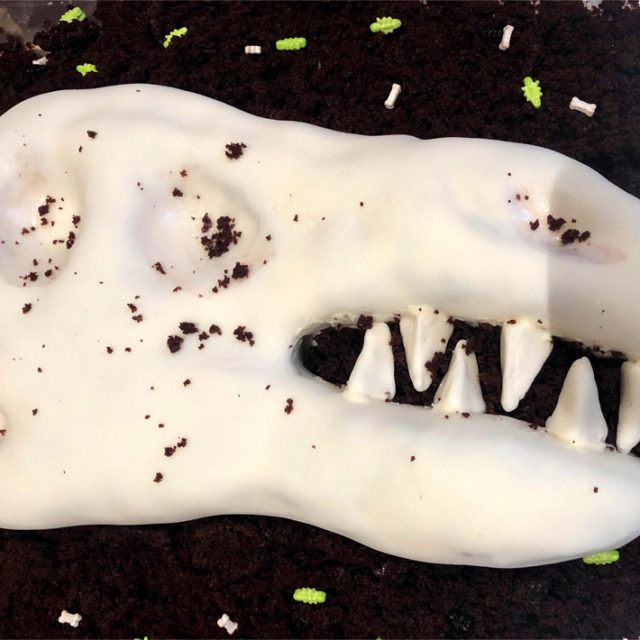 Dinosaur Cake